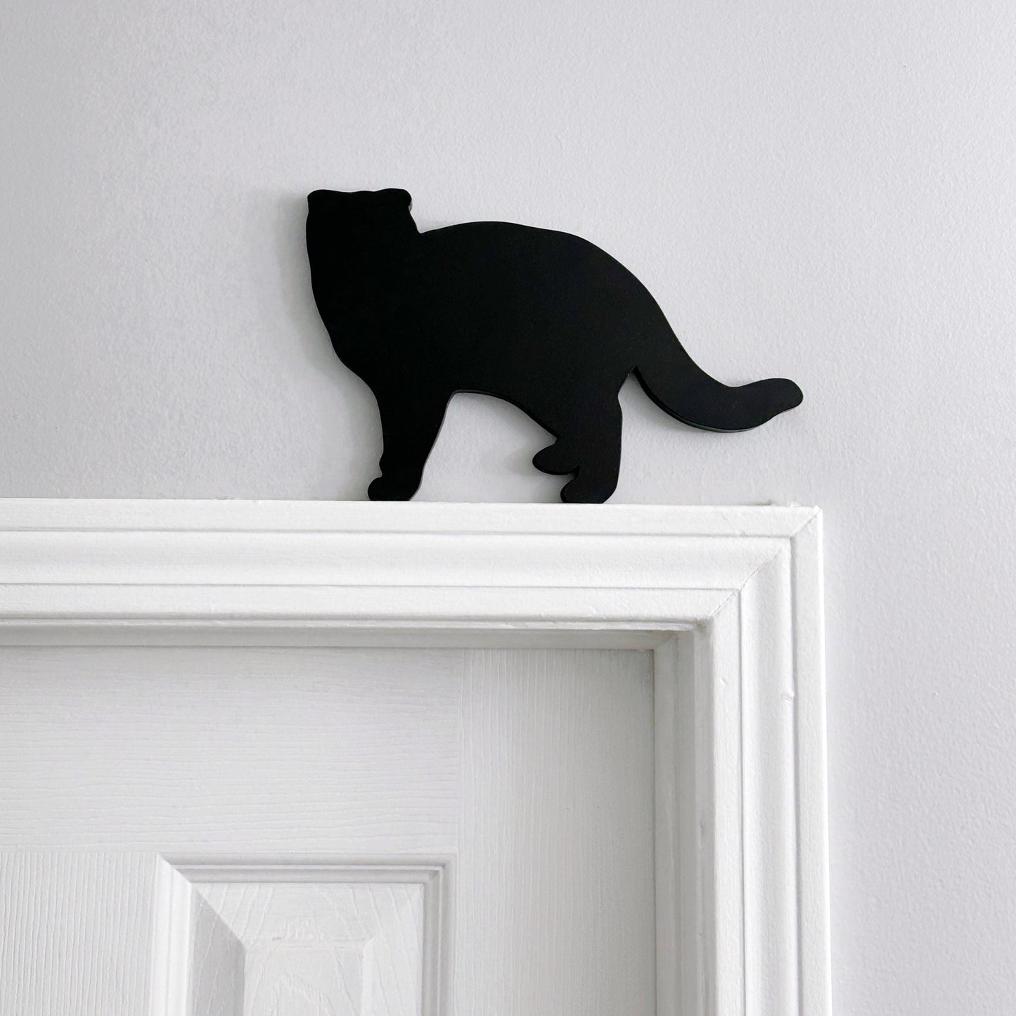 Scottish Fold door topper